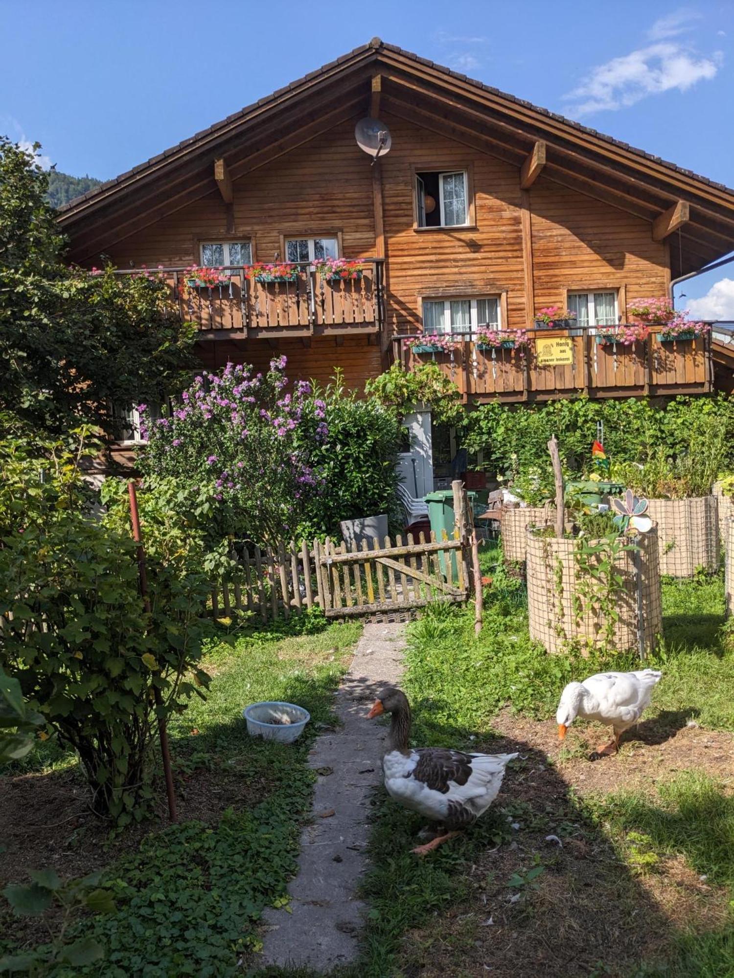 Bed And Breakfast - Die Aelplersuit Fuer Backpackers Im Berghuesli Linthal Exterior photo